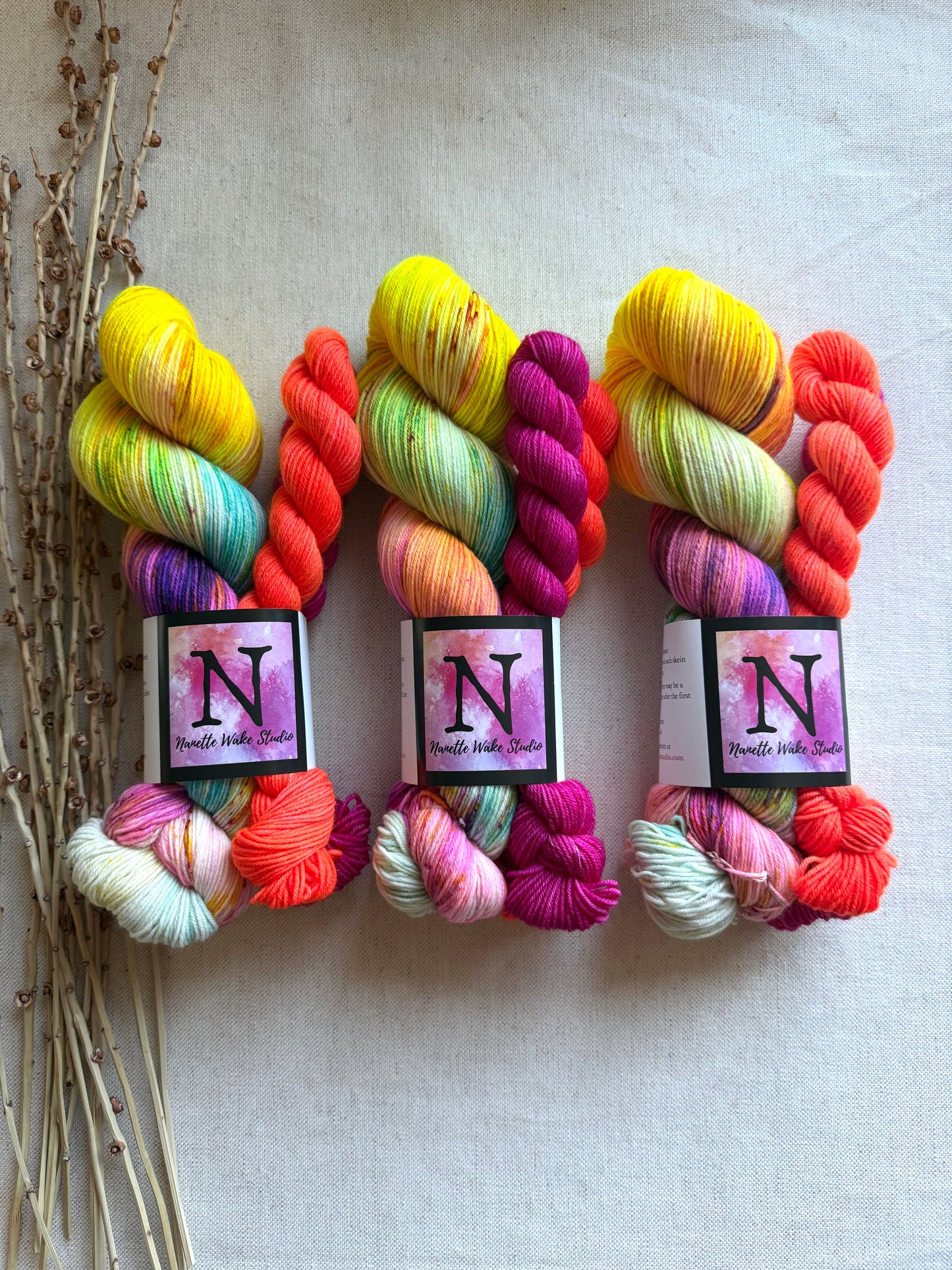 Carousel Sock Set