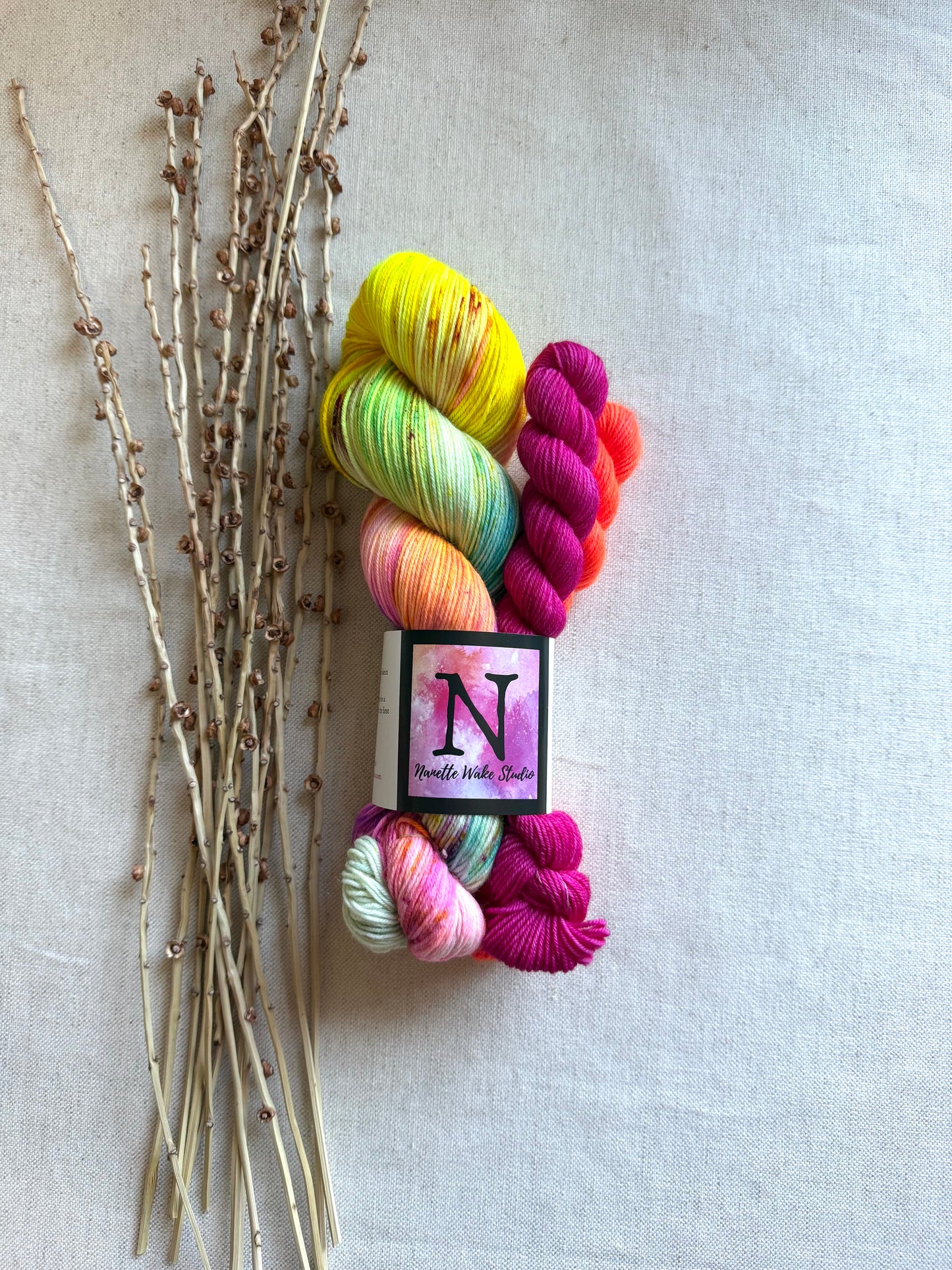 Carousel Sock Set