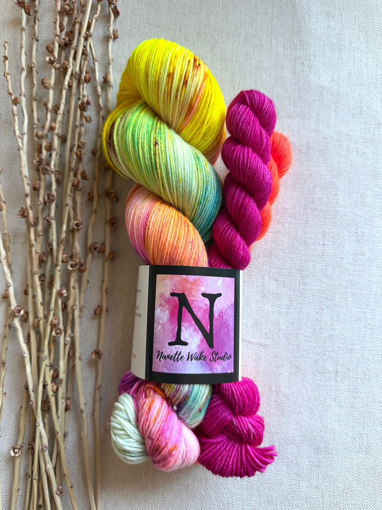 Carousel Sock Set