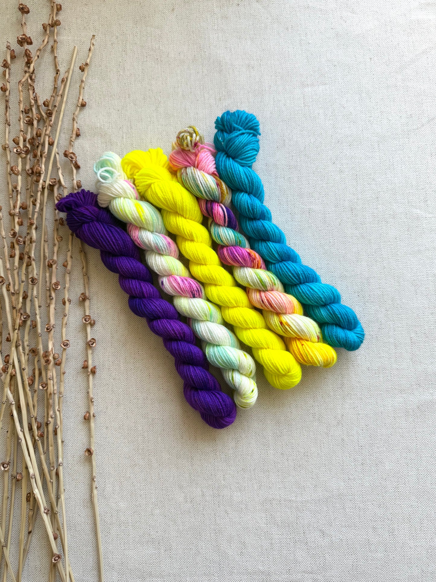 Carousel - SW Merino Nylon Mini Skein Set