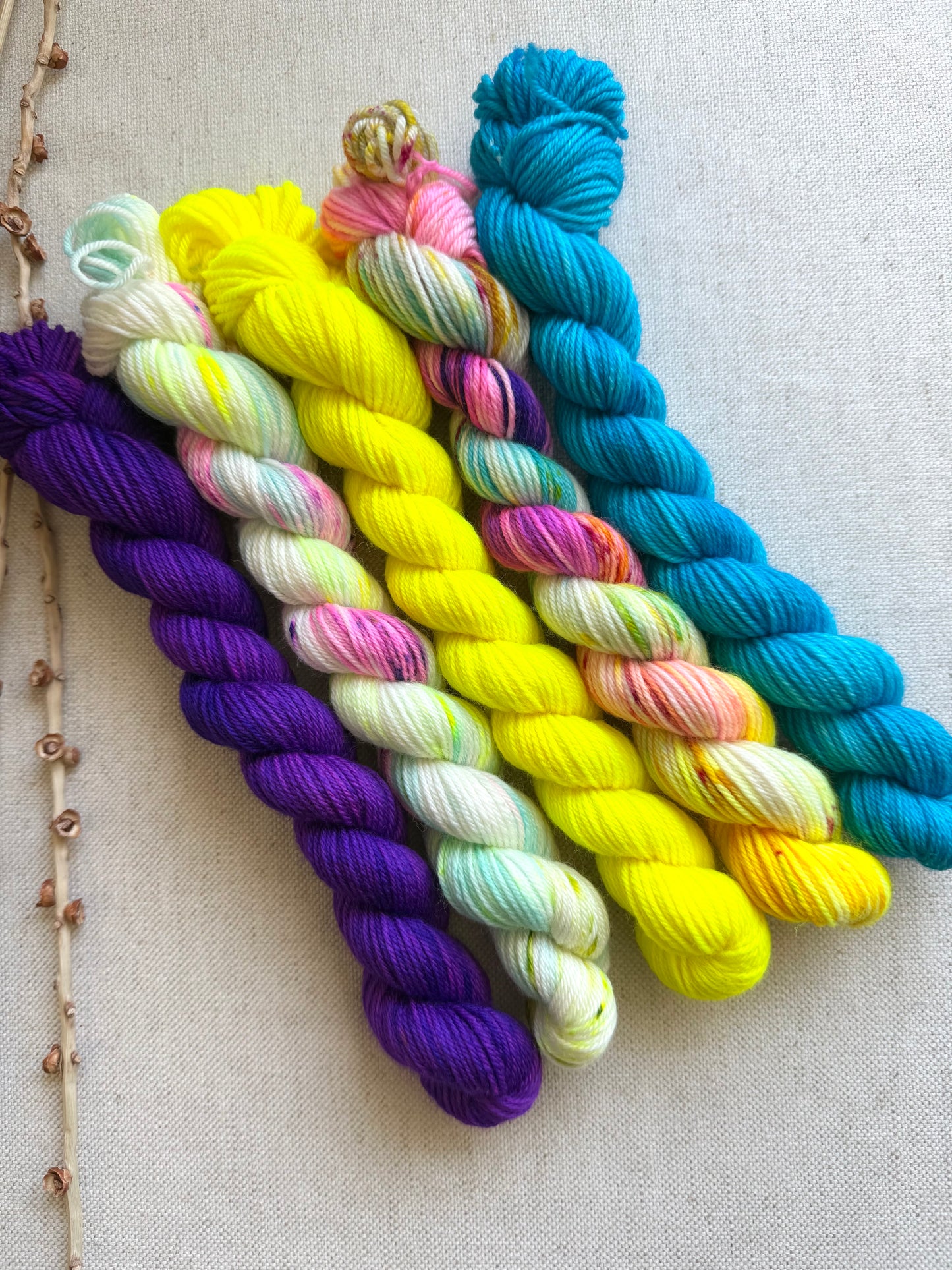 Carousel - SW Merino Nylon Mini Skein Set