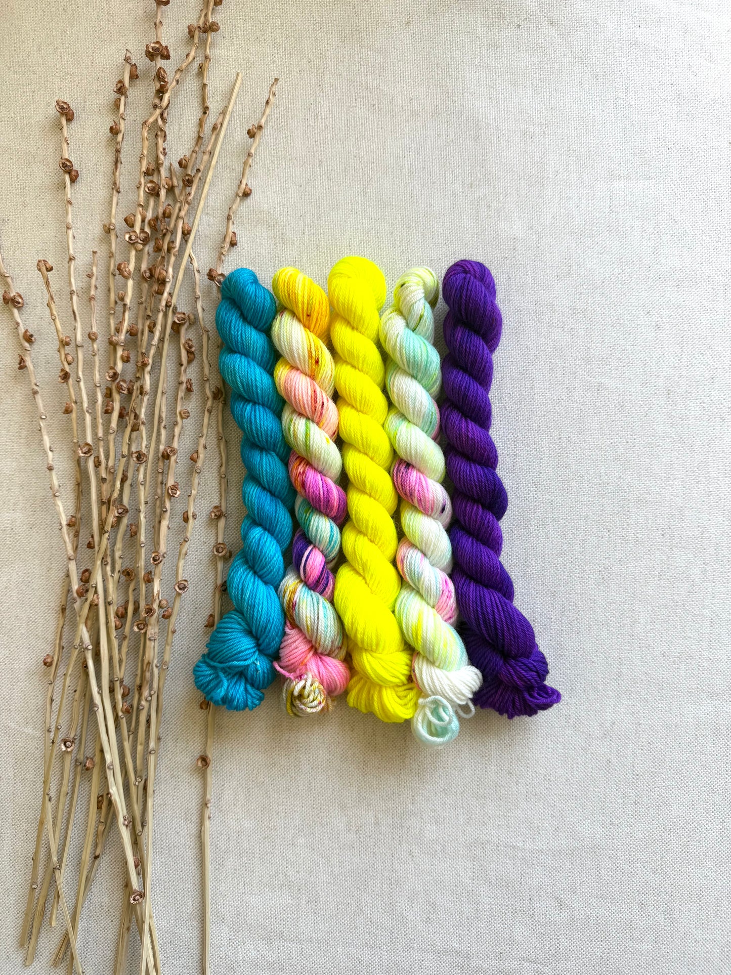 Carousel - SW Merino Nylon Mini Skein Set