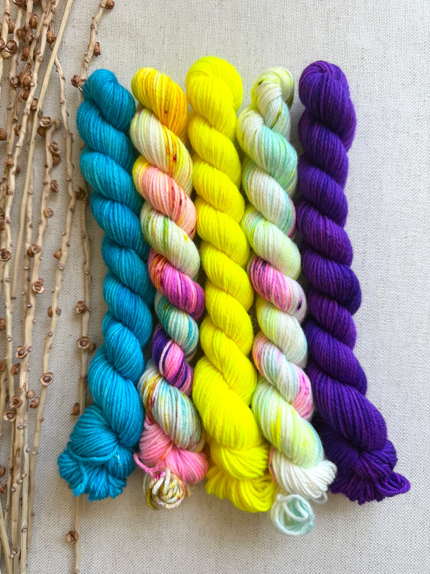 Carousel - SW Merino Nylon Mini Skein Set