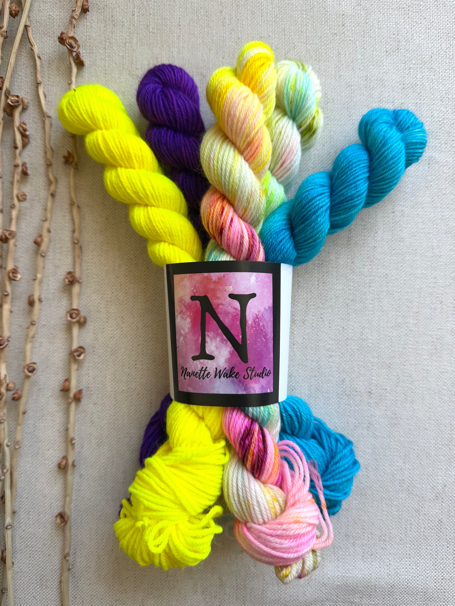 Carousel - SW Merino Nylon Mini Skein Set