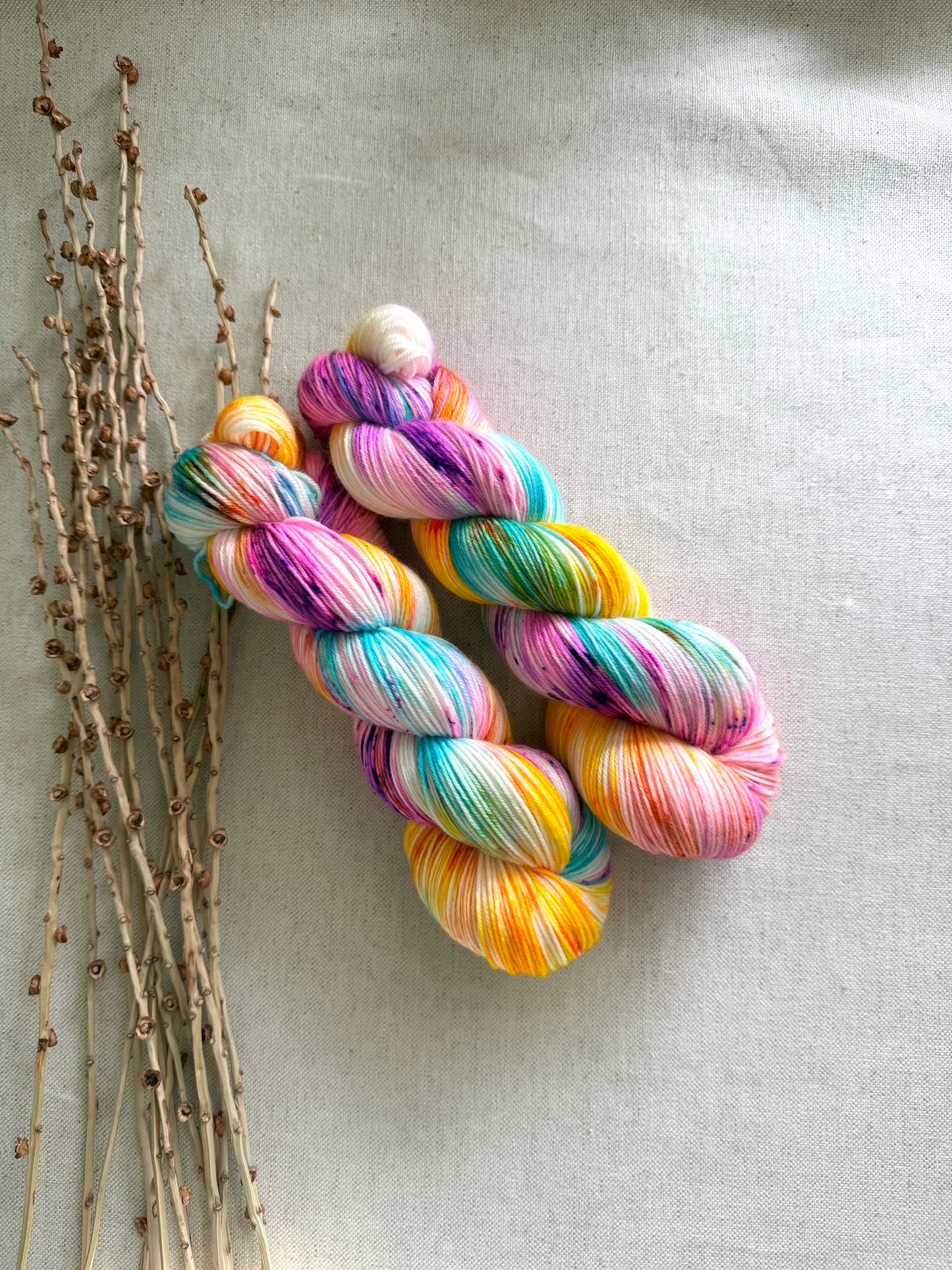 Carousel SW Merino Nylon 100g Skein
