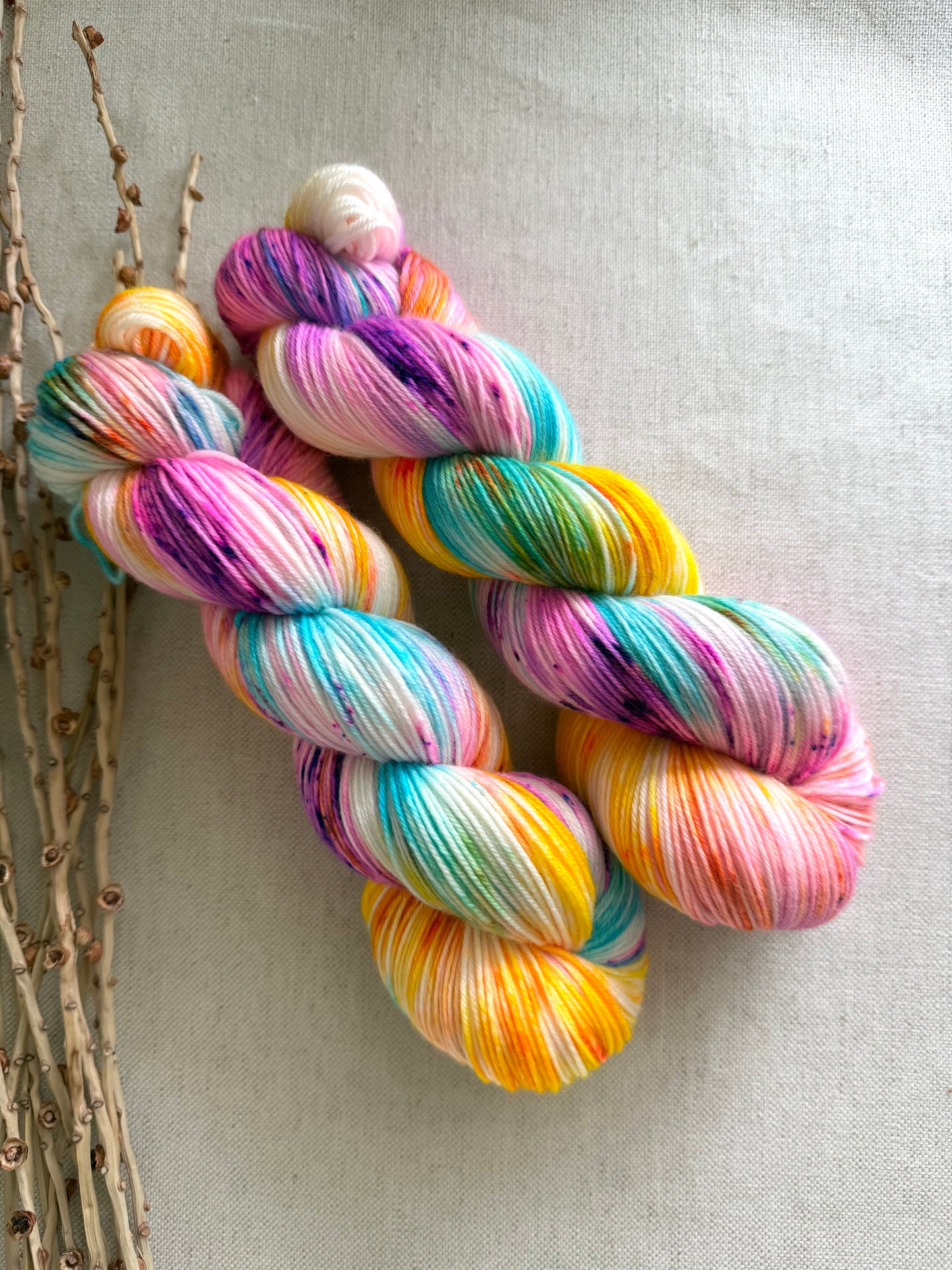 Carousel SW Merino Nylon 100g Skein