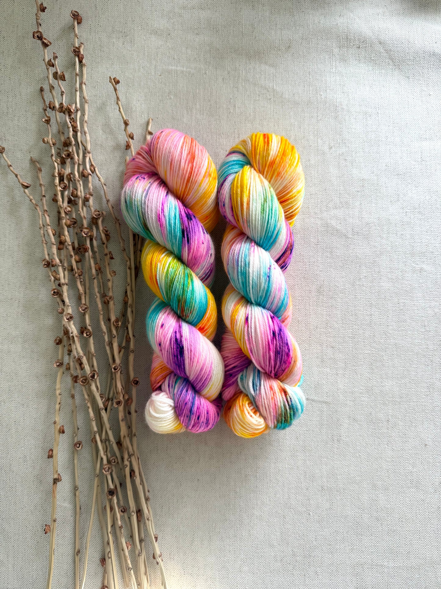 Carousel SW Merino Nylon 100g Skein