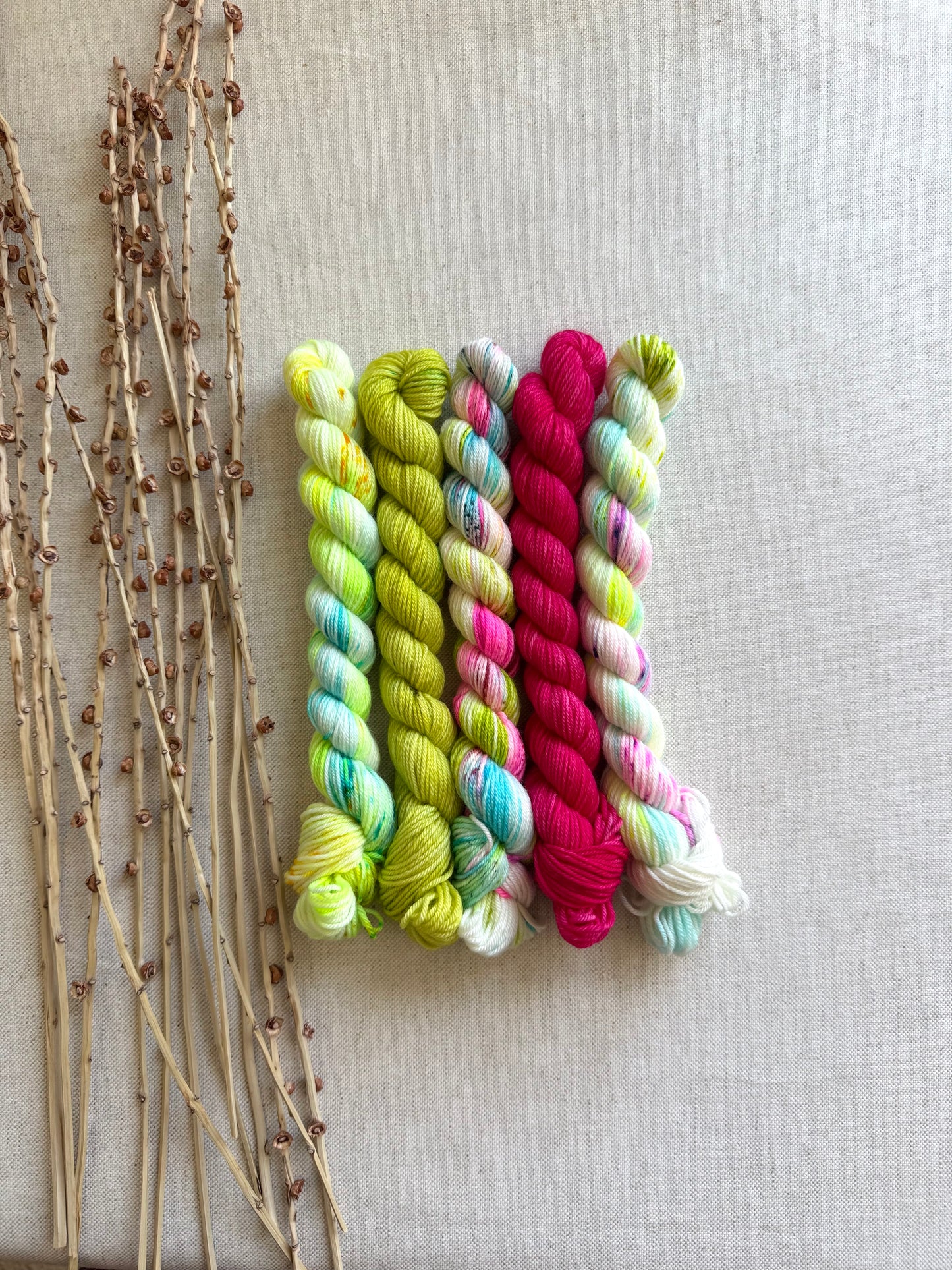 Board Shorts - SW Merino Nylon Mini Skein Set