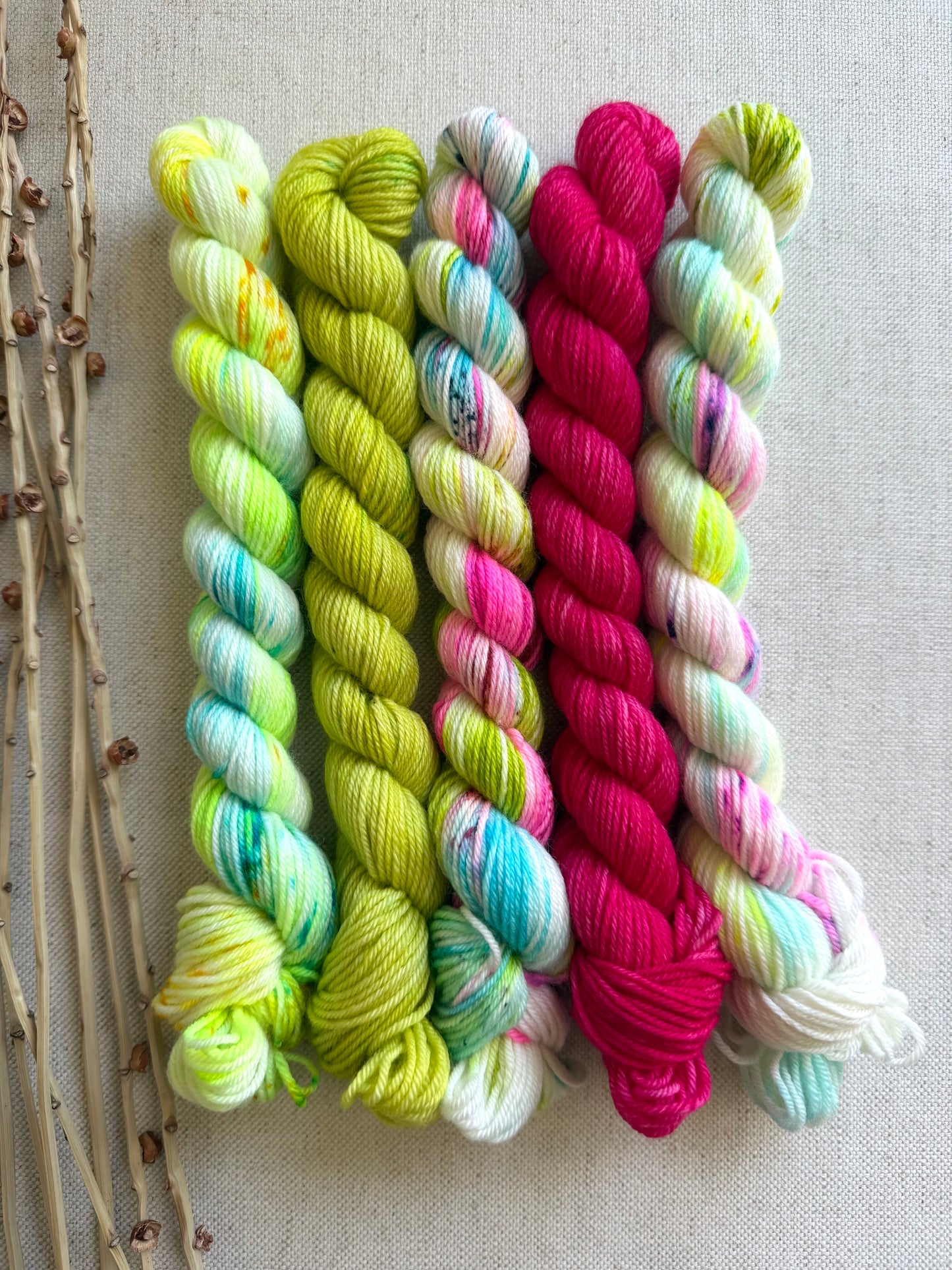 Board Shorts - SW Merino Nylon Mini Skein Set