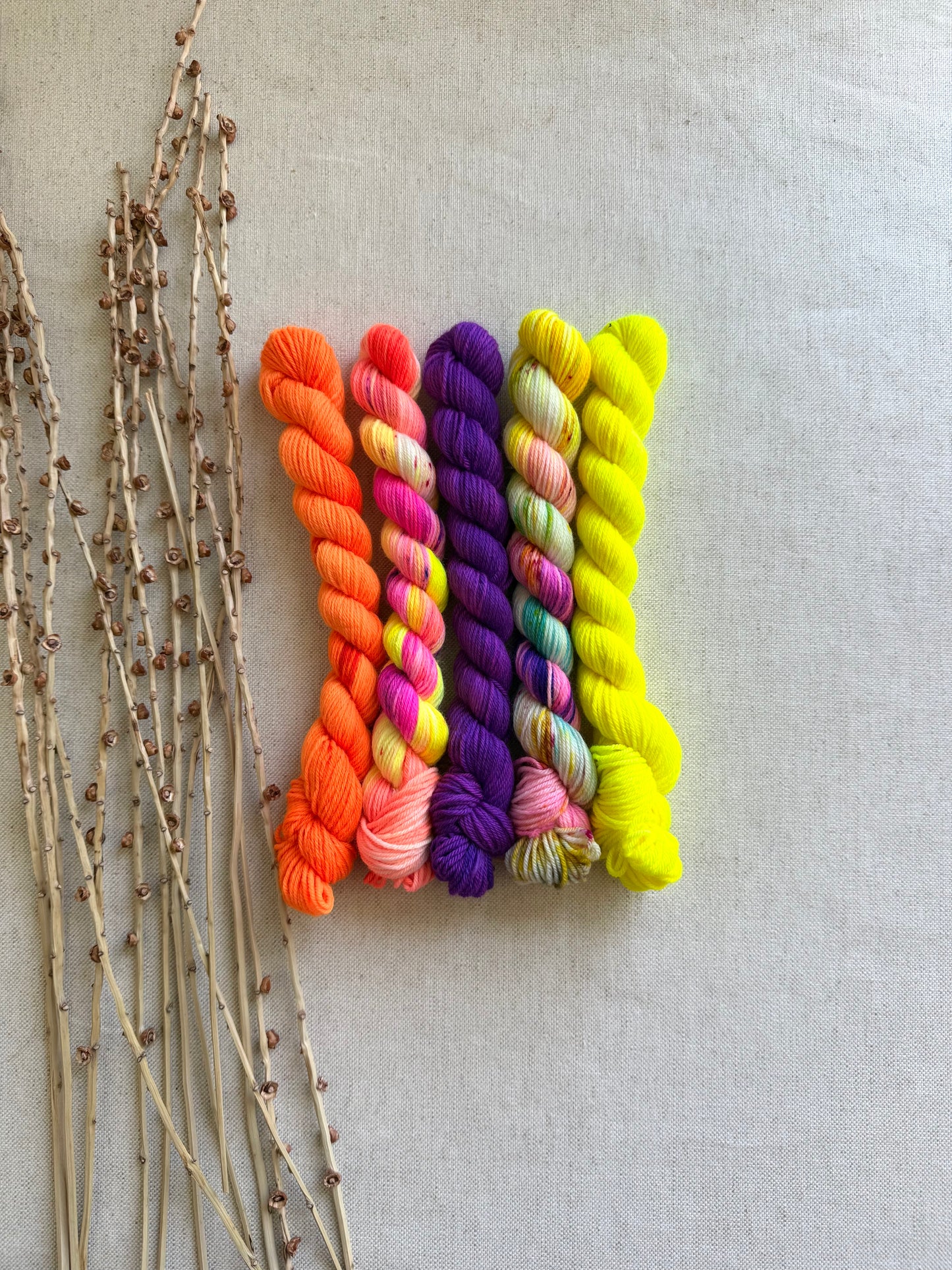 Gingerline - SW Merino Nylon Mini Skein Set
