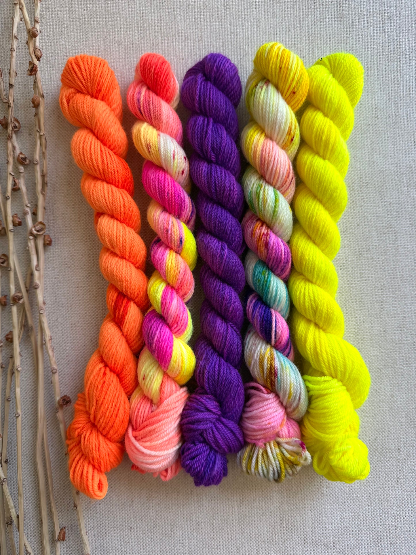Gingerline - SW Merino Nylon Mini Skein Set
