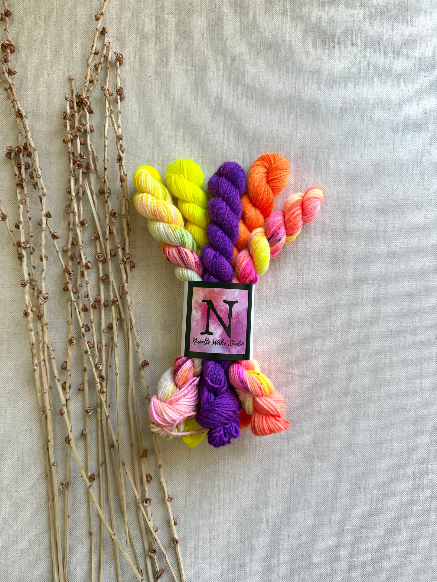 Gingerline - SW Merino Nylon Mini Skein Set