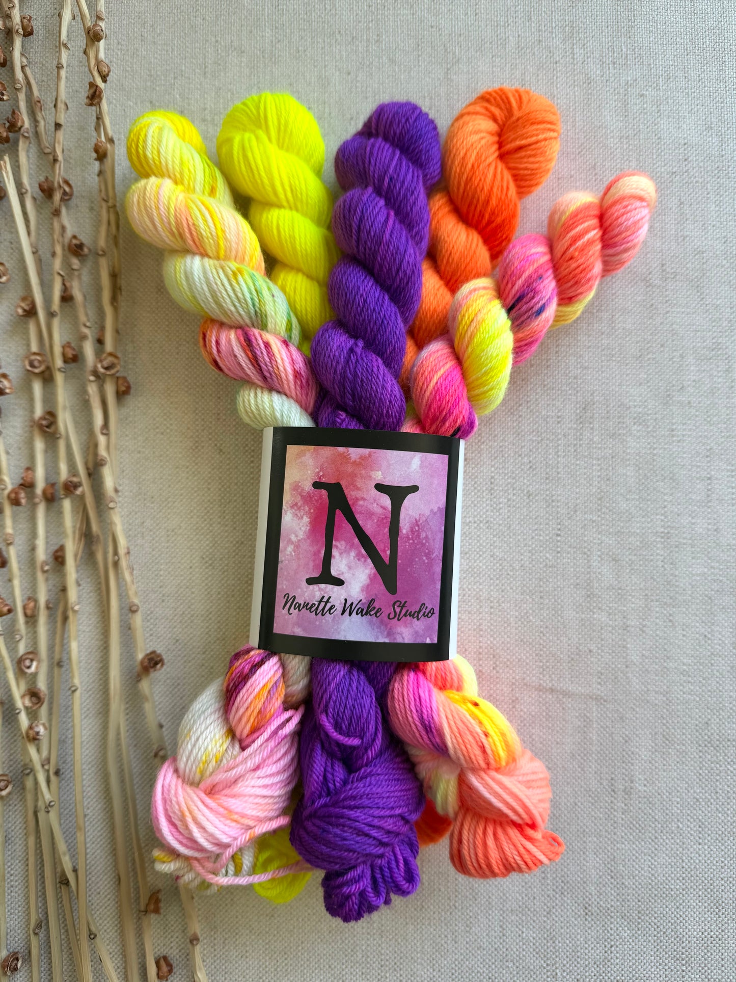Gingerline - SW Merino Nylon Mini Skein Set