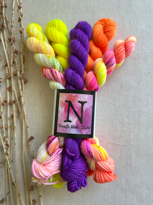Gingerline - SW Merino Nylon Mini Skein Set