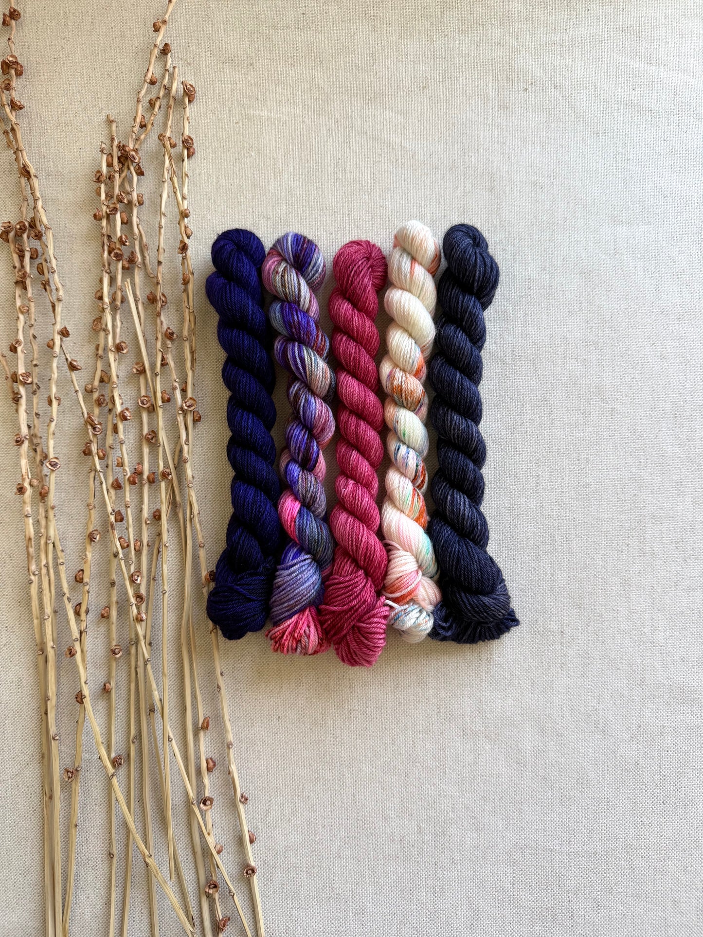 Zippity Zap - SW Merino Nylon Mini Skein Set