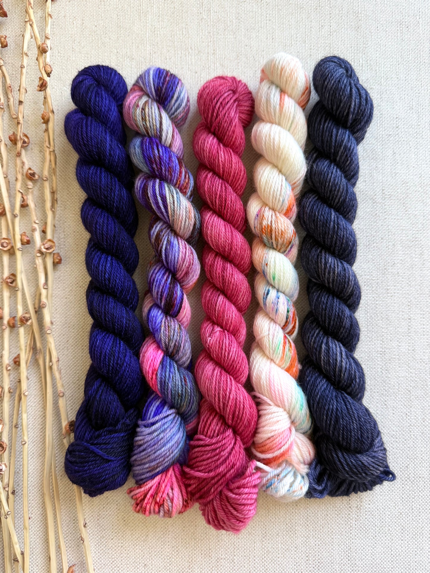 Zippity Zap - SW Merino Nylon Mini Skein Set