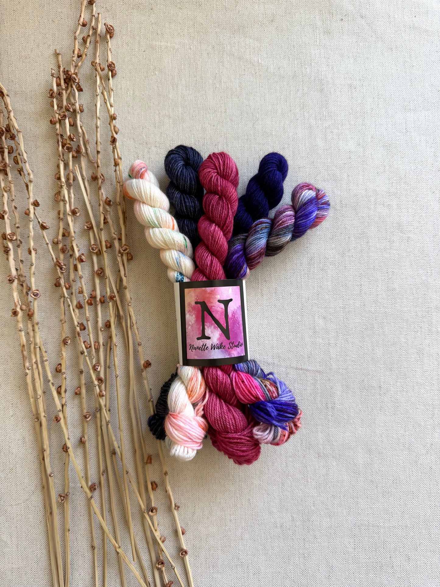 Zippity Zap - SW Merino Nylon Mini Skein Set