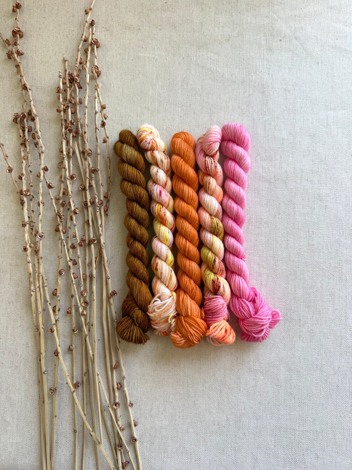 Amaranth - SW Merino Nylon Mini Skein Set