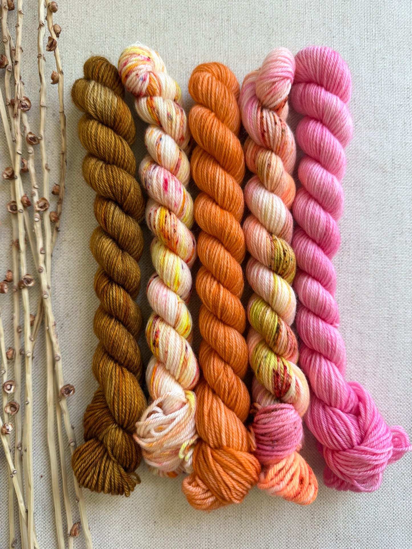 Amaranth - SW Merino Nylon Mini Skein Set