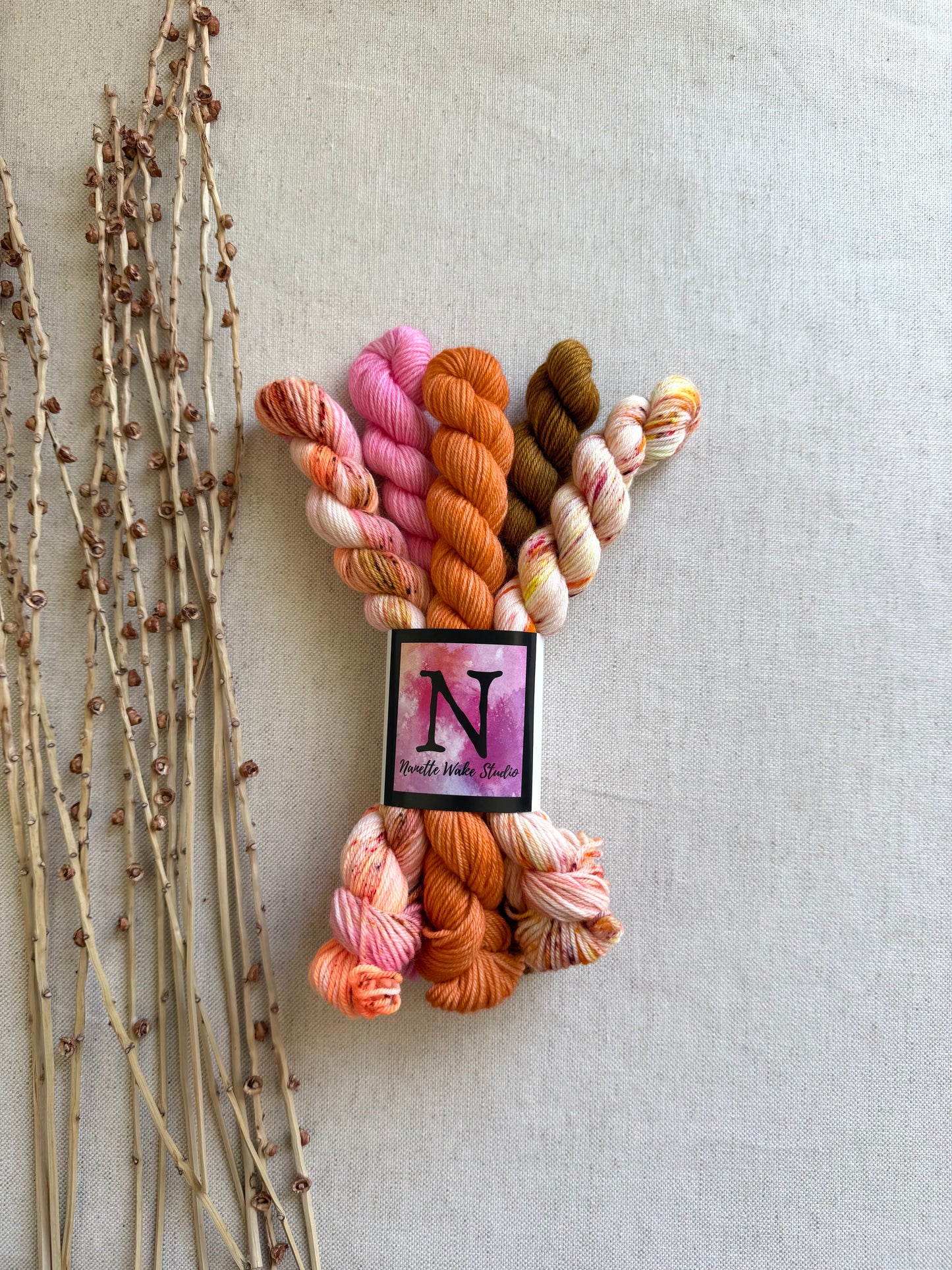 Amaranth - SW Merino Nylon Mini Skein Set
