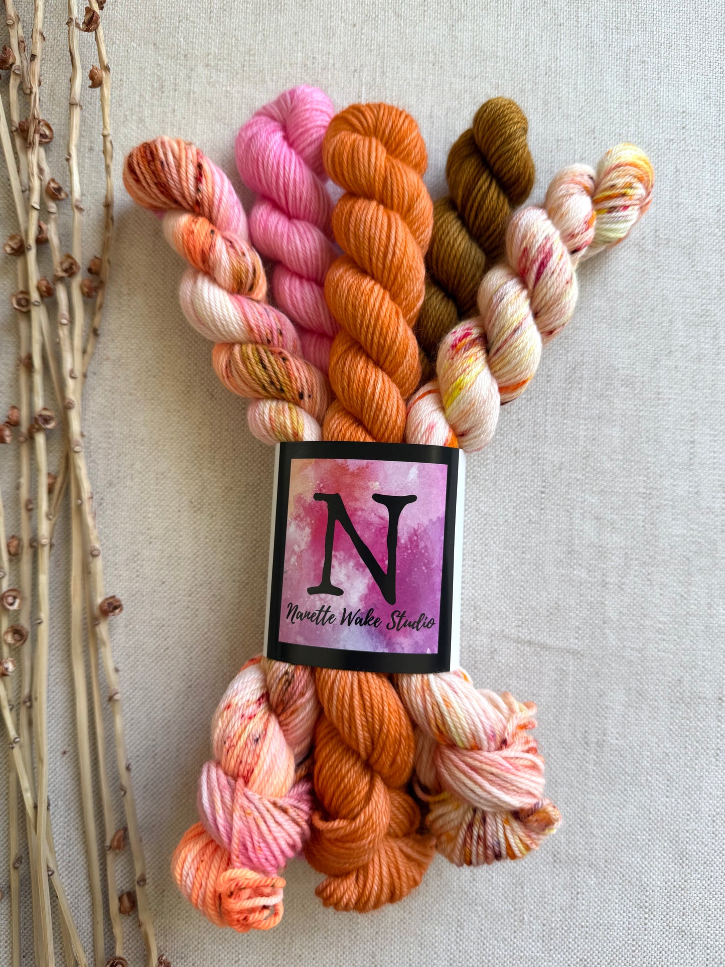 Amaranth - SW Merino Nylon Mini Skein Set