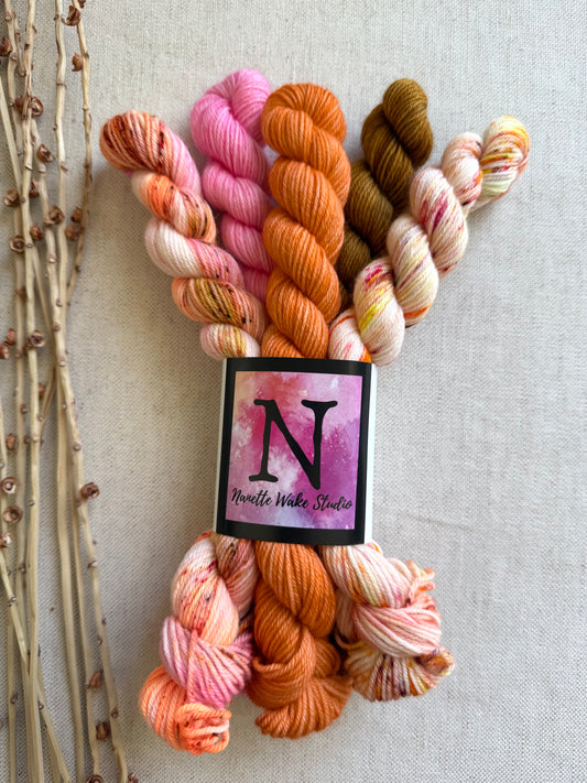Amaranth - SW Merino Nylon Mini Skein Set