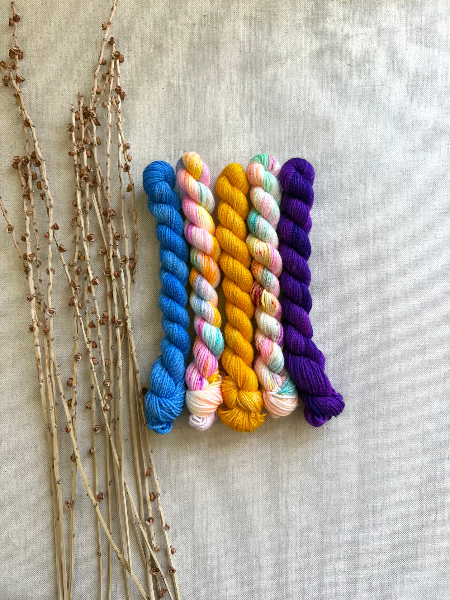 Carousel - SW Merino Nylon Mini Skein Set