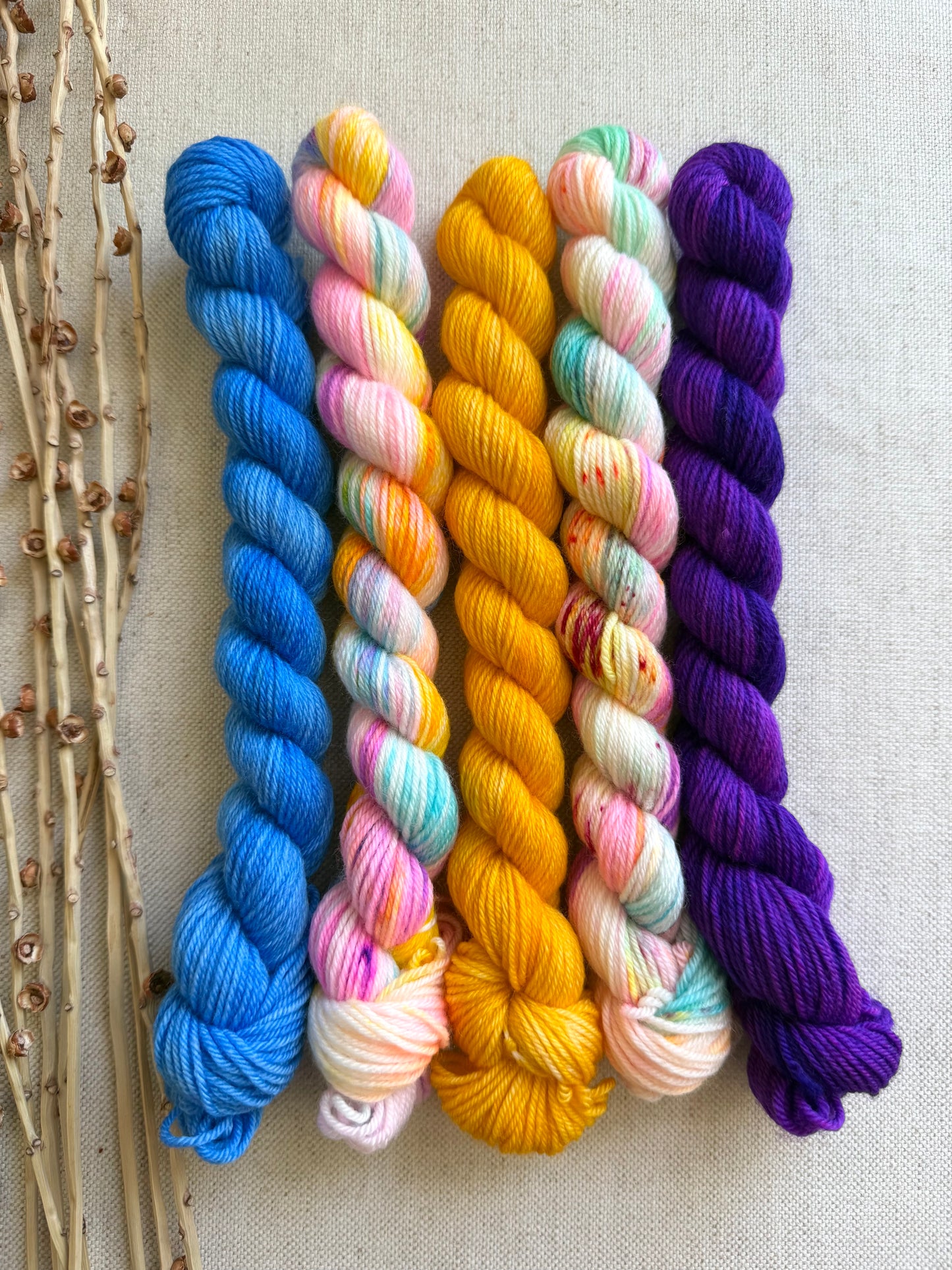 Carousel - SW Merino Nylon Mini Skein Set