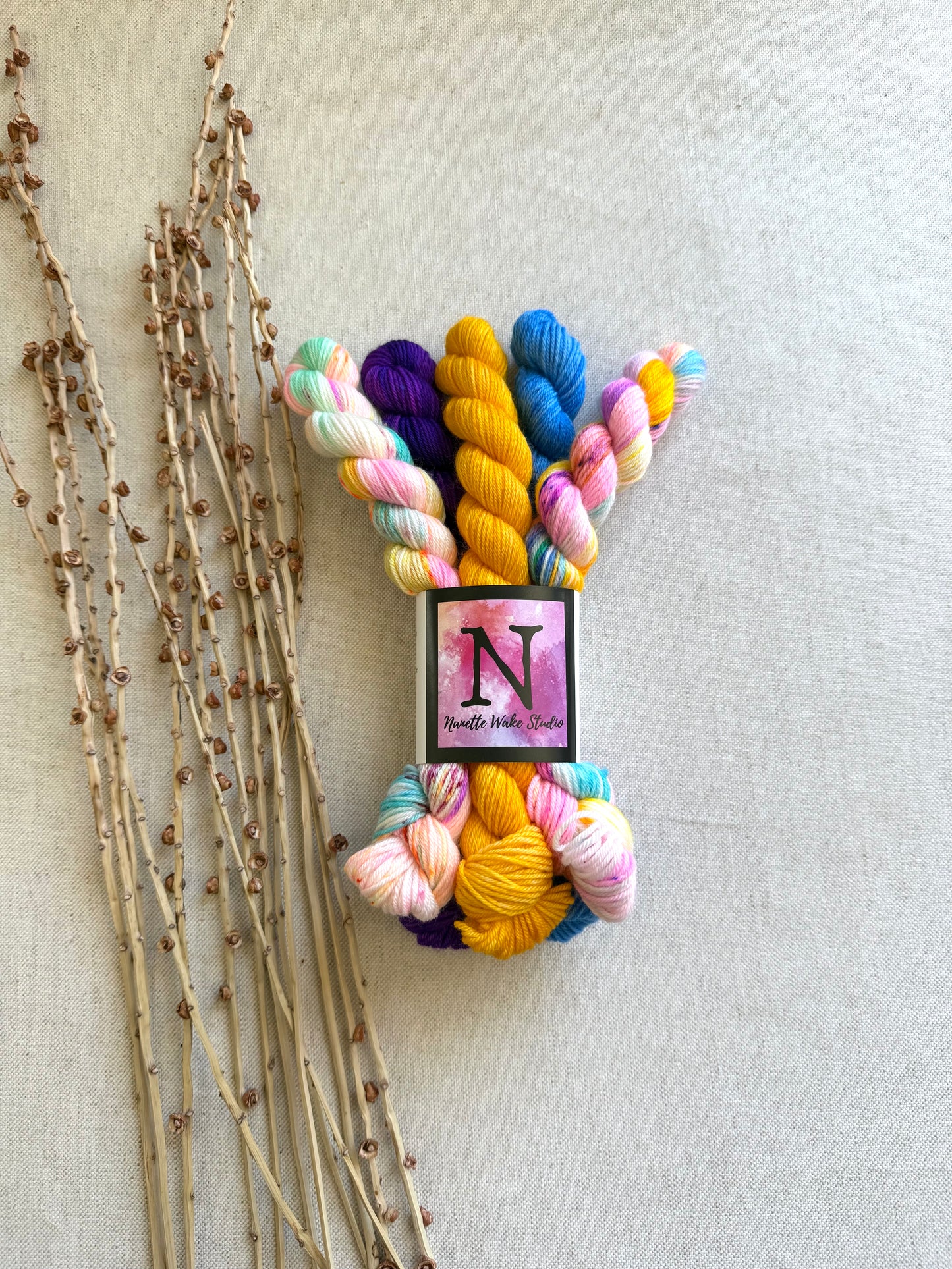Carousel - SW Merino Nylon Mini Skein Set