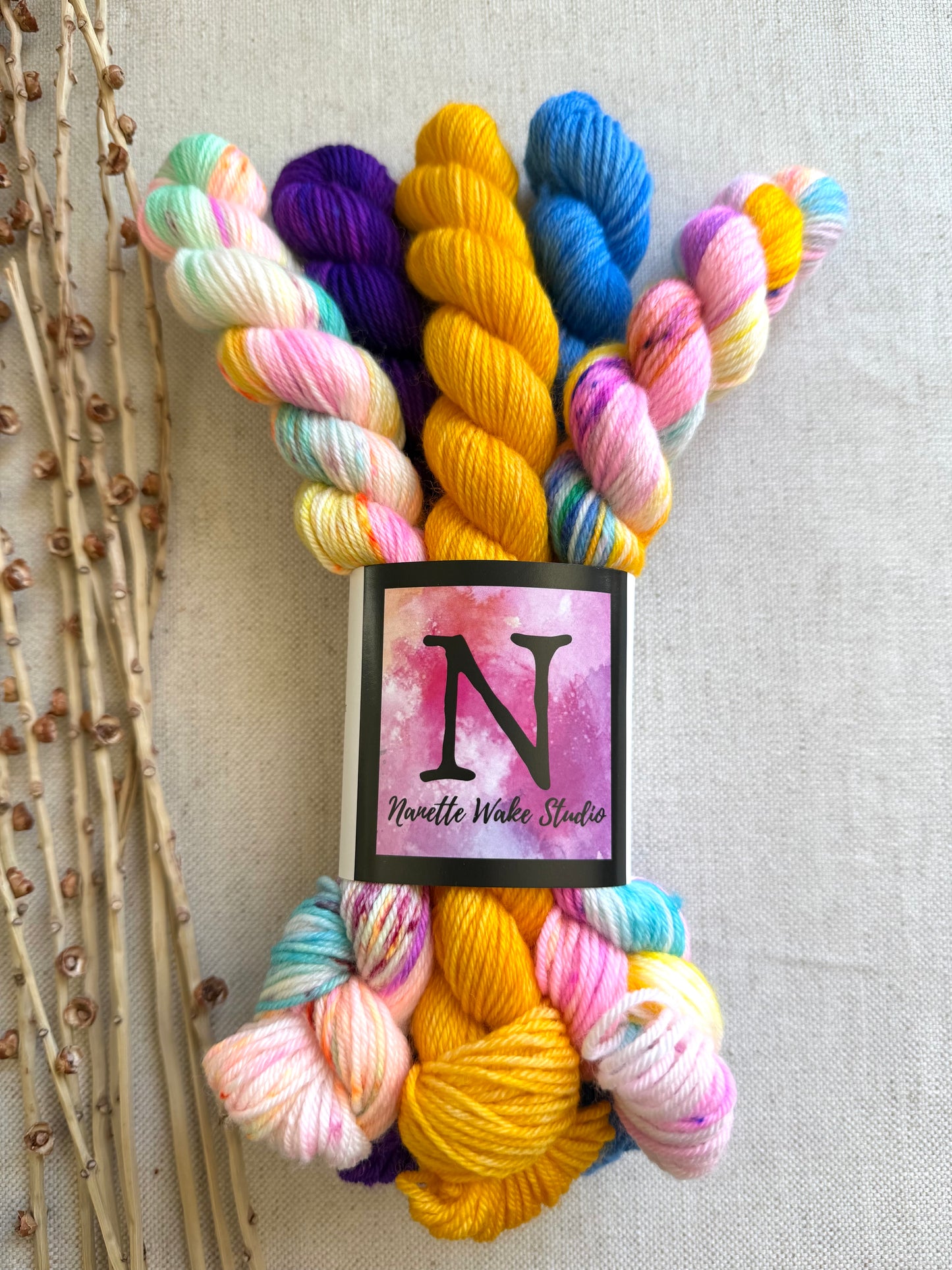 Carousel - SW Merino Nylon Mini Skein Set