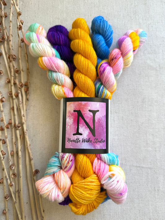 Carousel - SW Merino Nylon Mini Skein Set