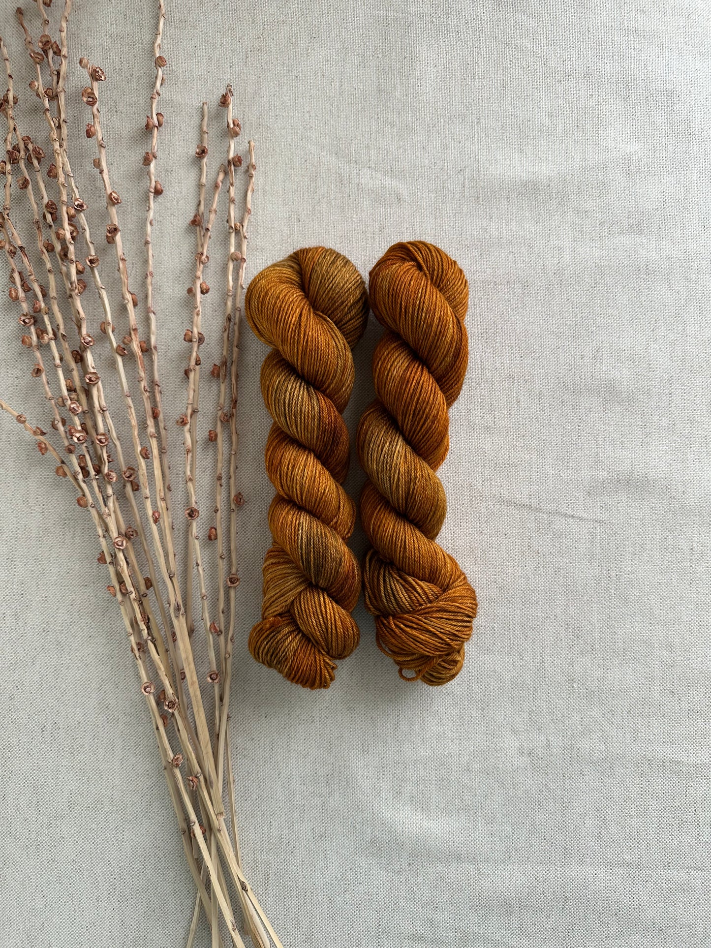 Gilded SW Merino Nylon 50g Skein