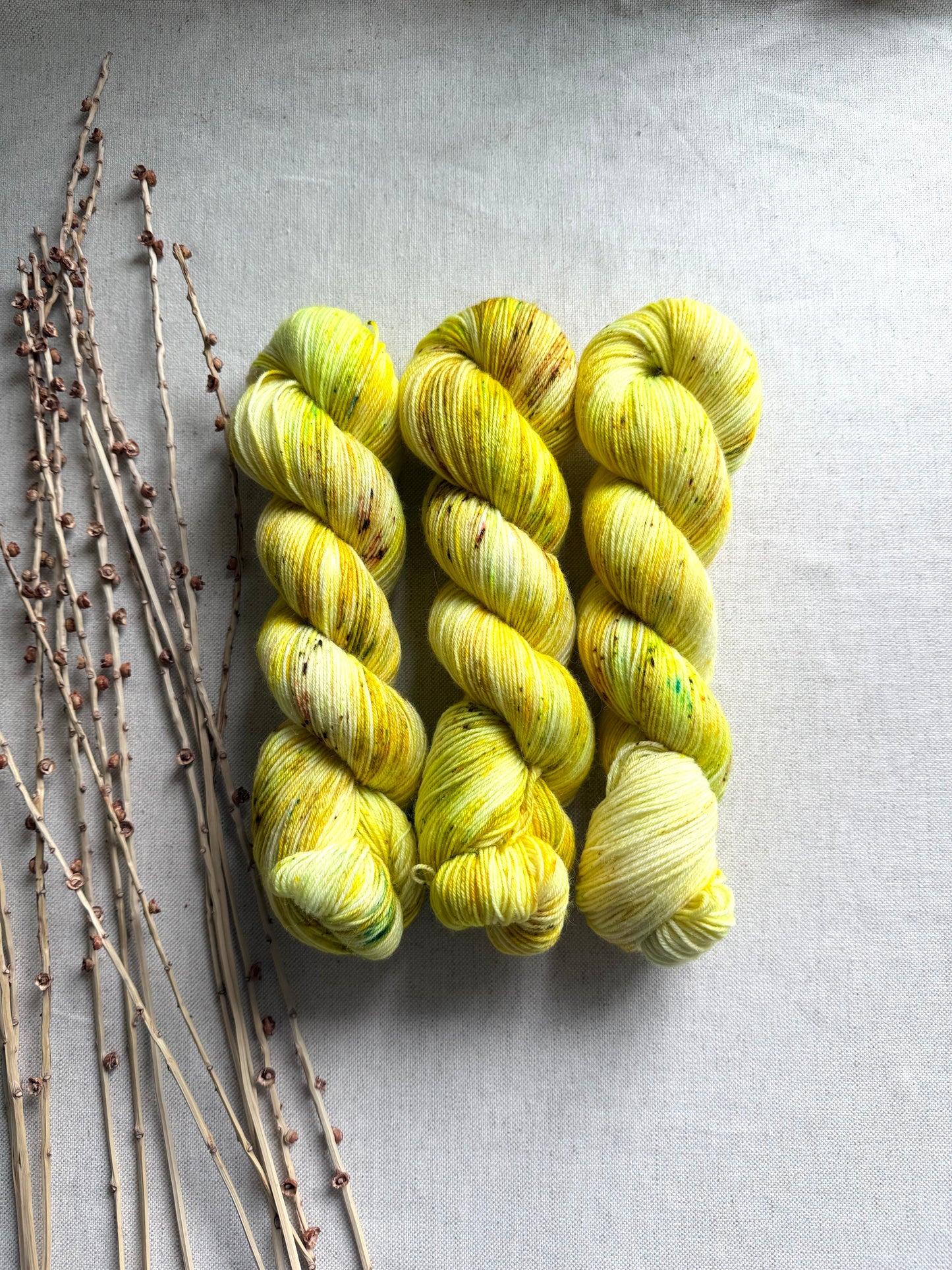 Tweety - SW Wool Recycled Nylon 100g