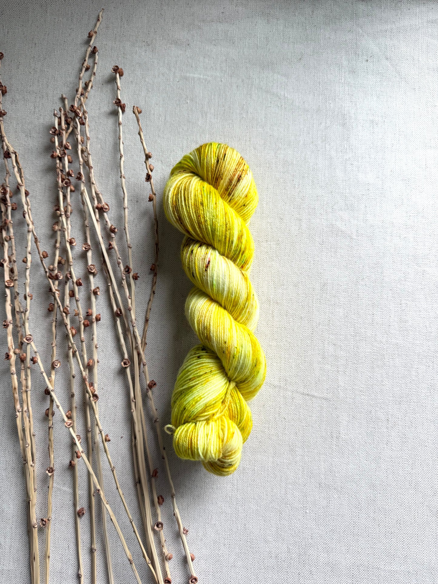 Tweety - SW Wool Recycled Nylon 100g
