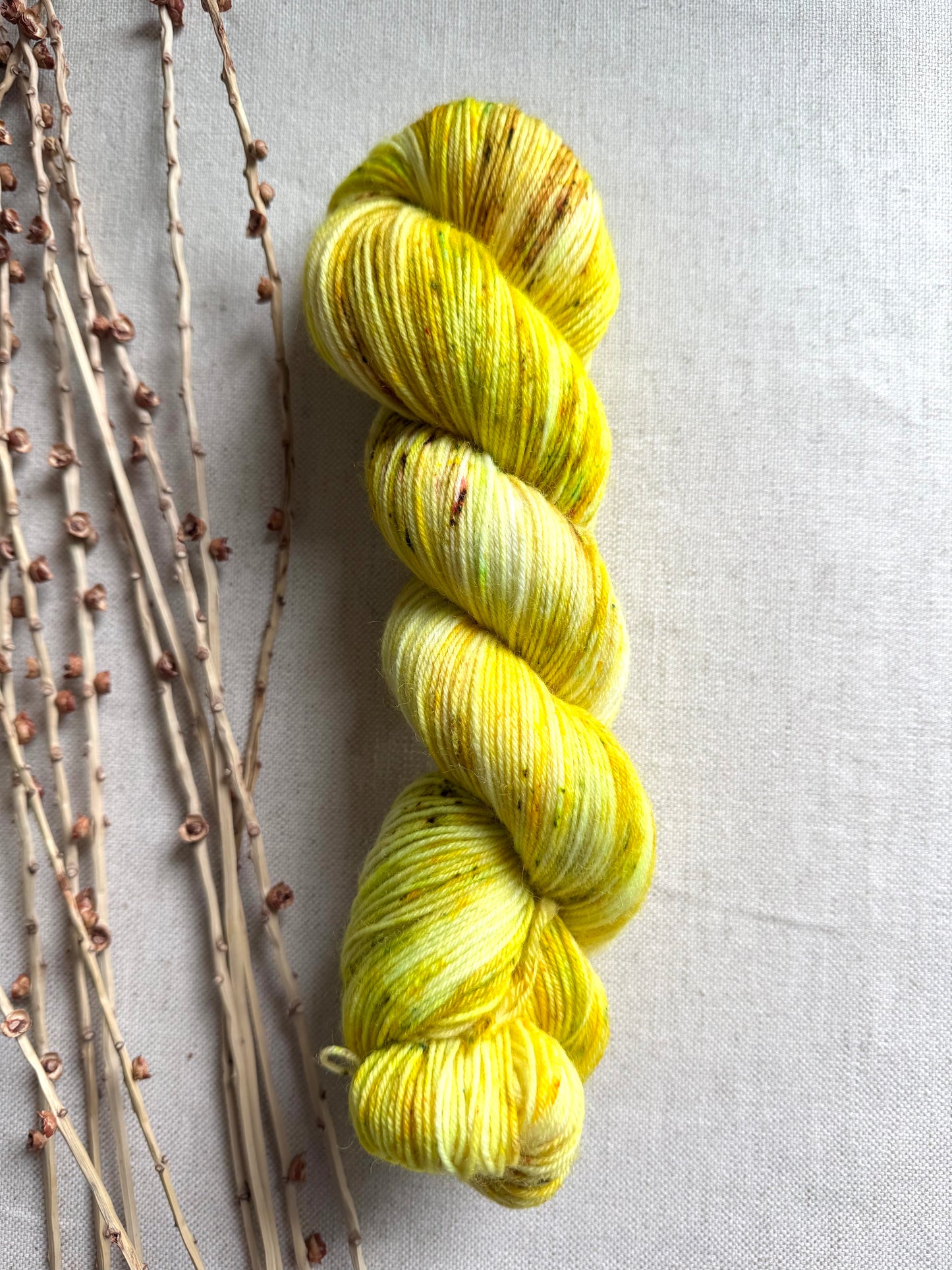 Tweety - SW Wool Recycled Nylon 100g
