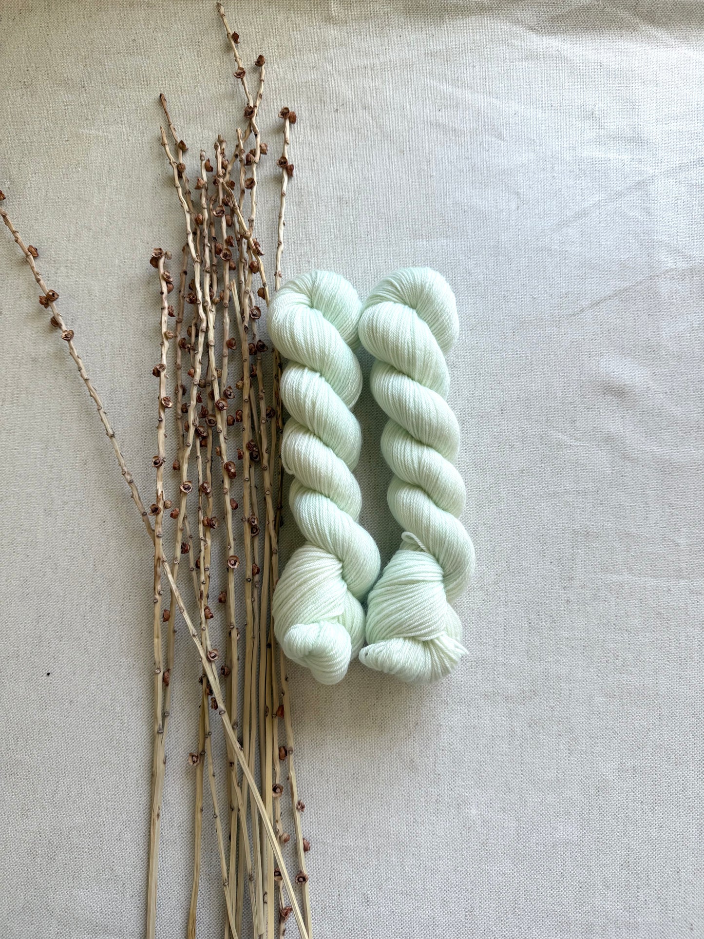 Icy Mint SW Merino Nylon 50g Skein