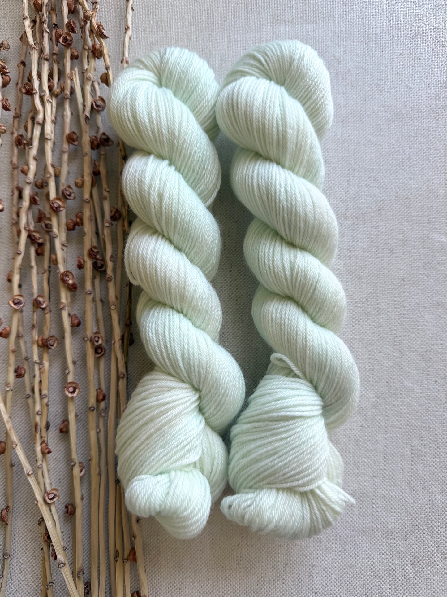 Icy Mint SW Merino Nylon 50g Skein