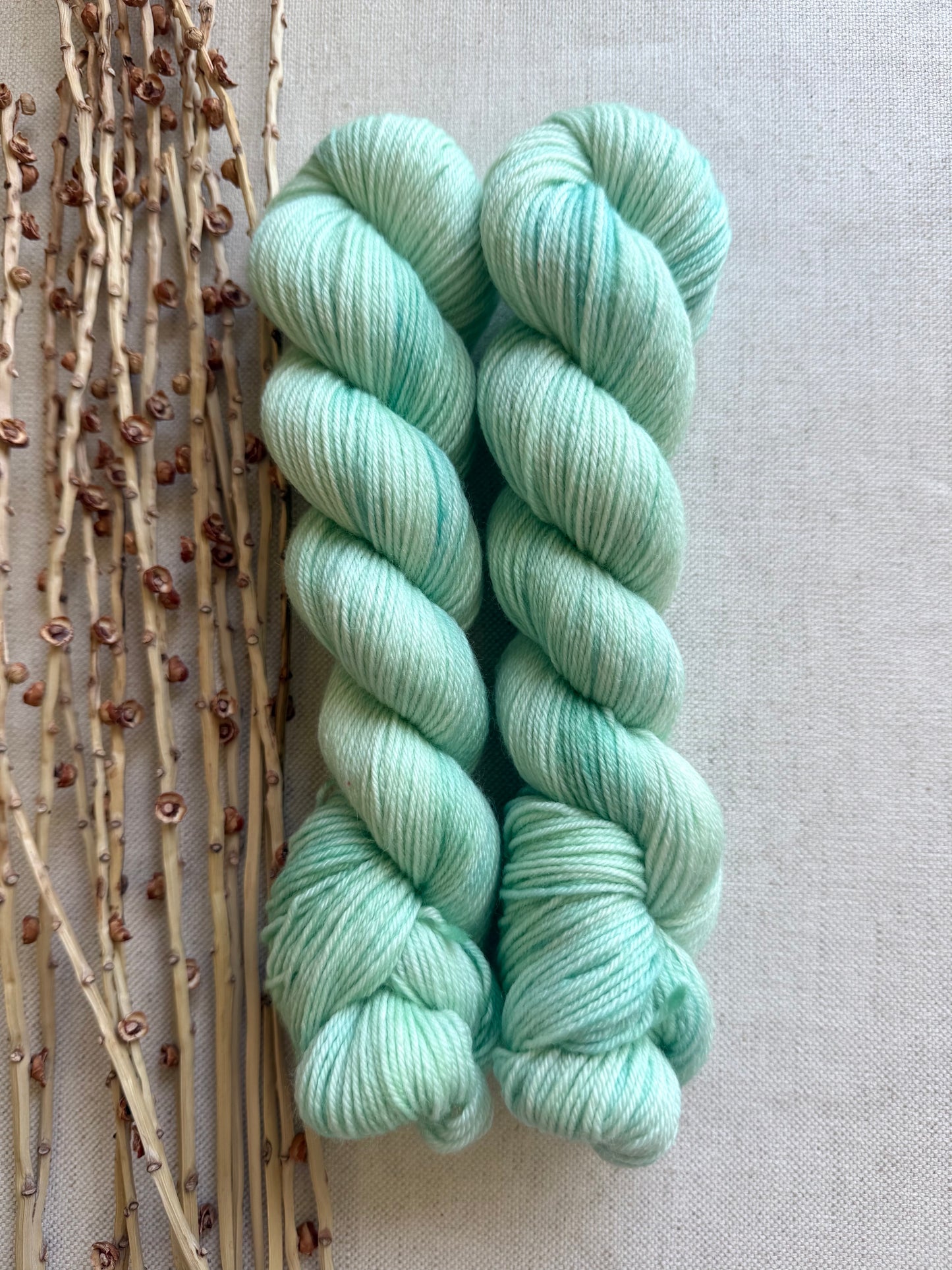 Minty 50g Skein