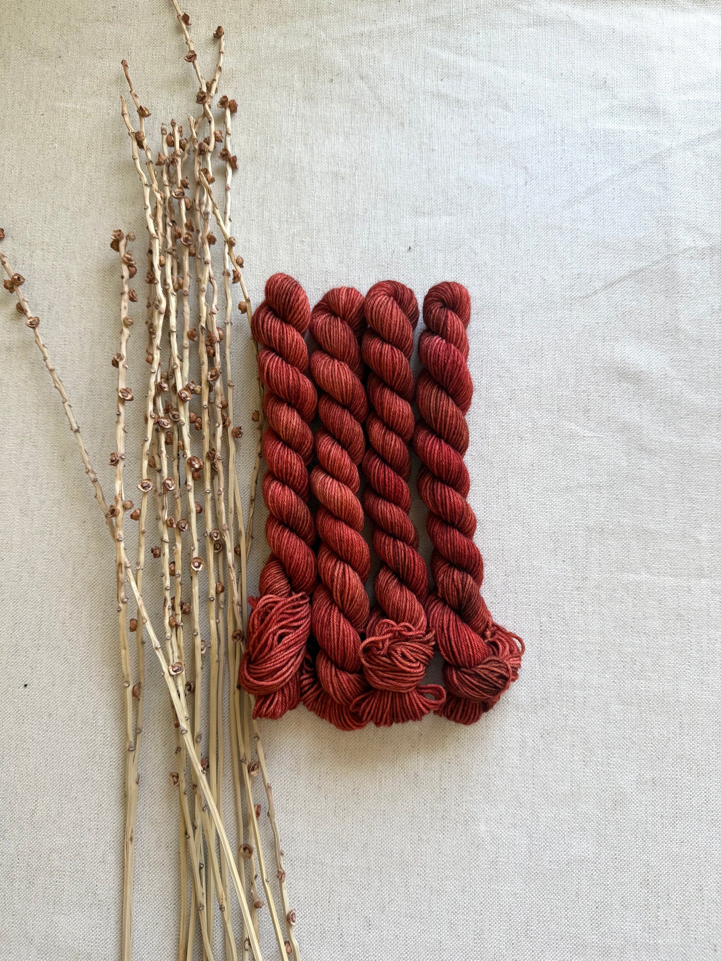 Chili Powder - SW Wool Recycled Nylon Mini Skein