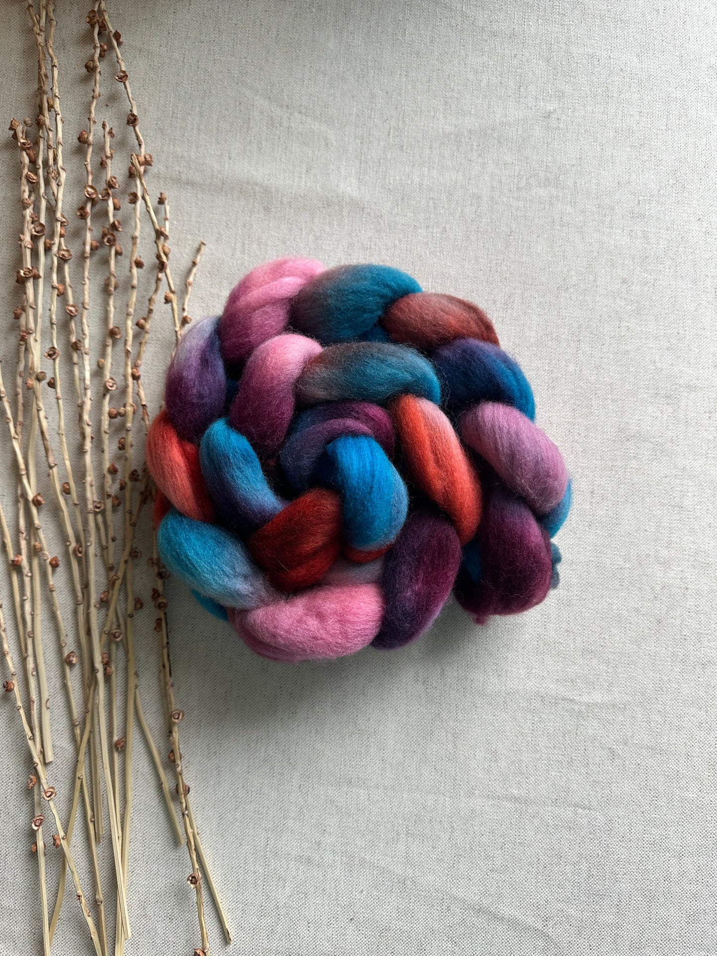 Strike Up The Band! Falkland Merino Top Spinning Fiber