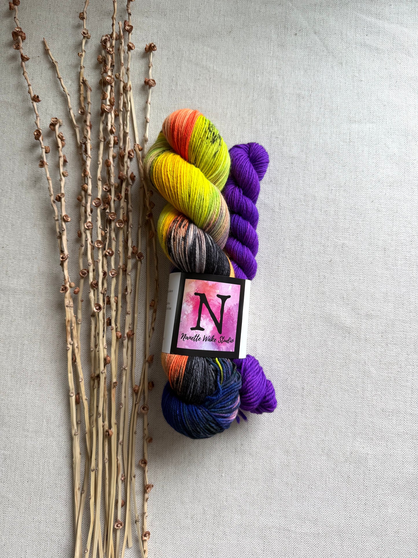 Witchiepoo Sock Set