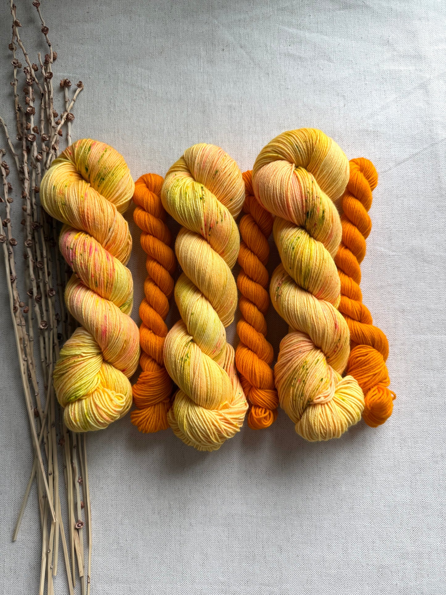 Dandelions Sock Set