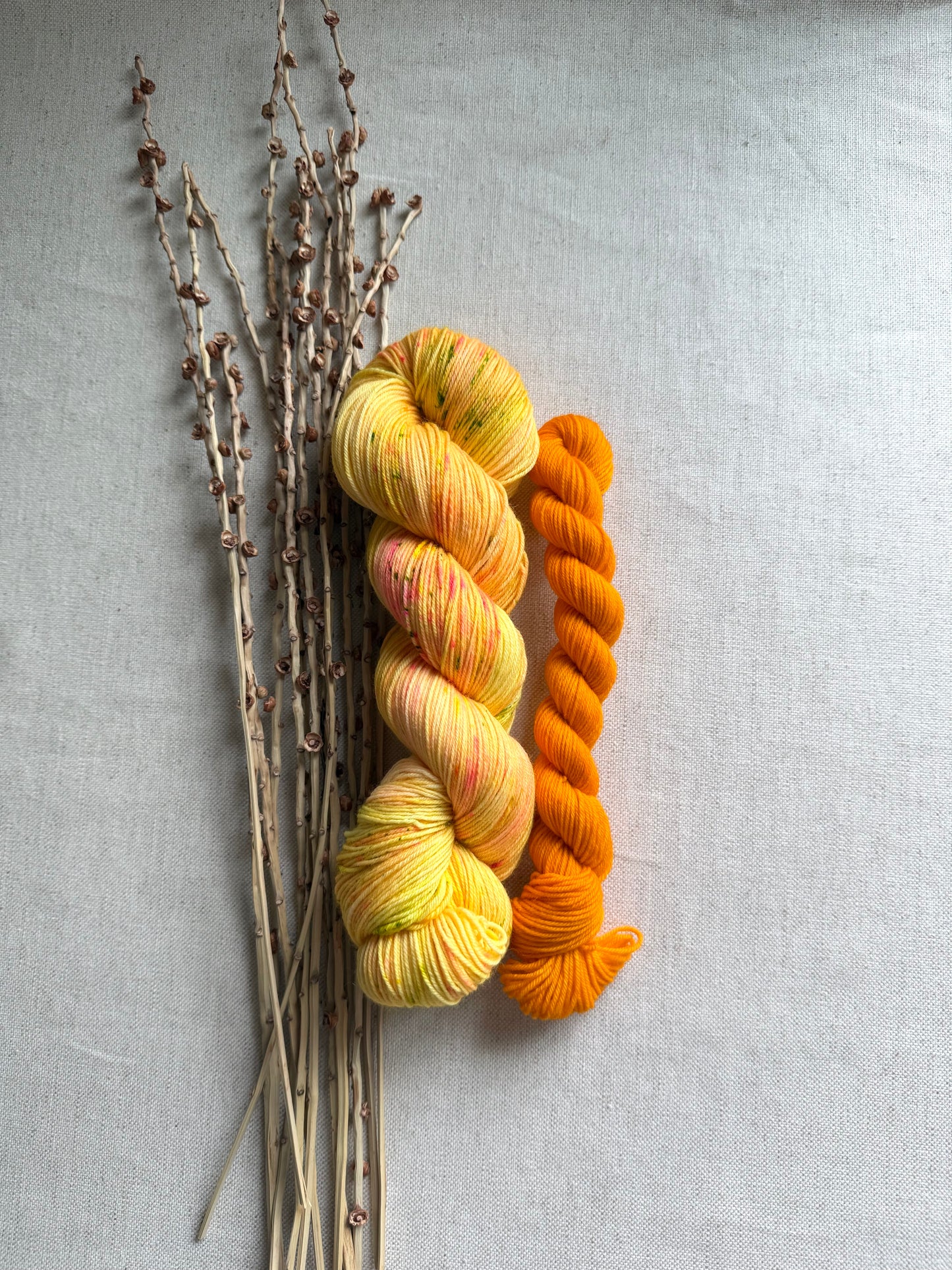 Dandelions Sock Set