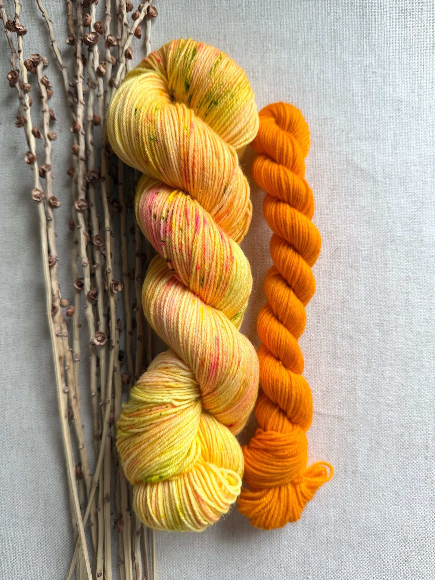 Dandelions Sock Set
