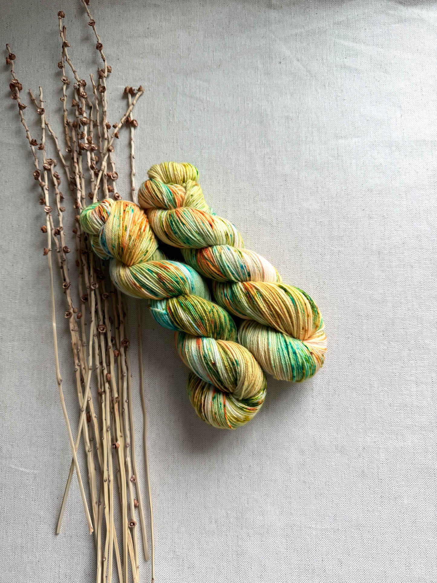 Trout SW Merino Nylon 100g
