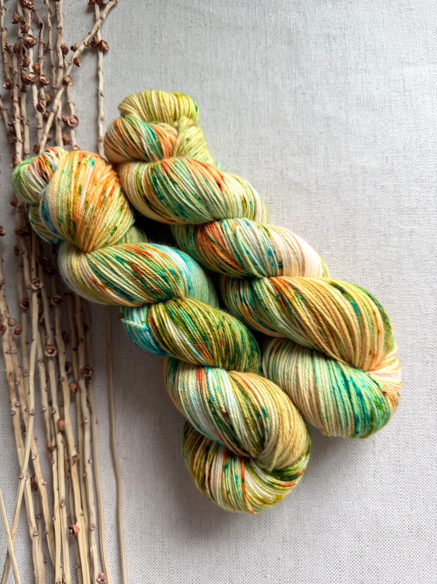 Trout SW Merino Nylon 100g