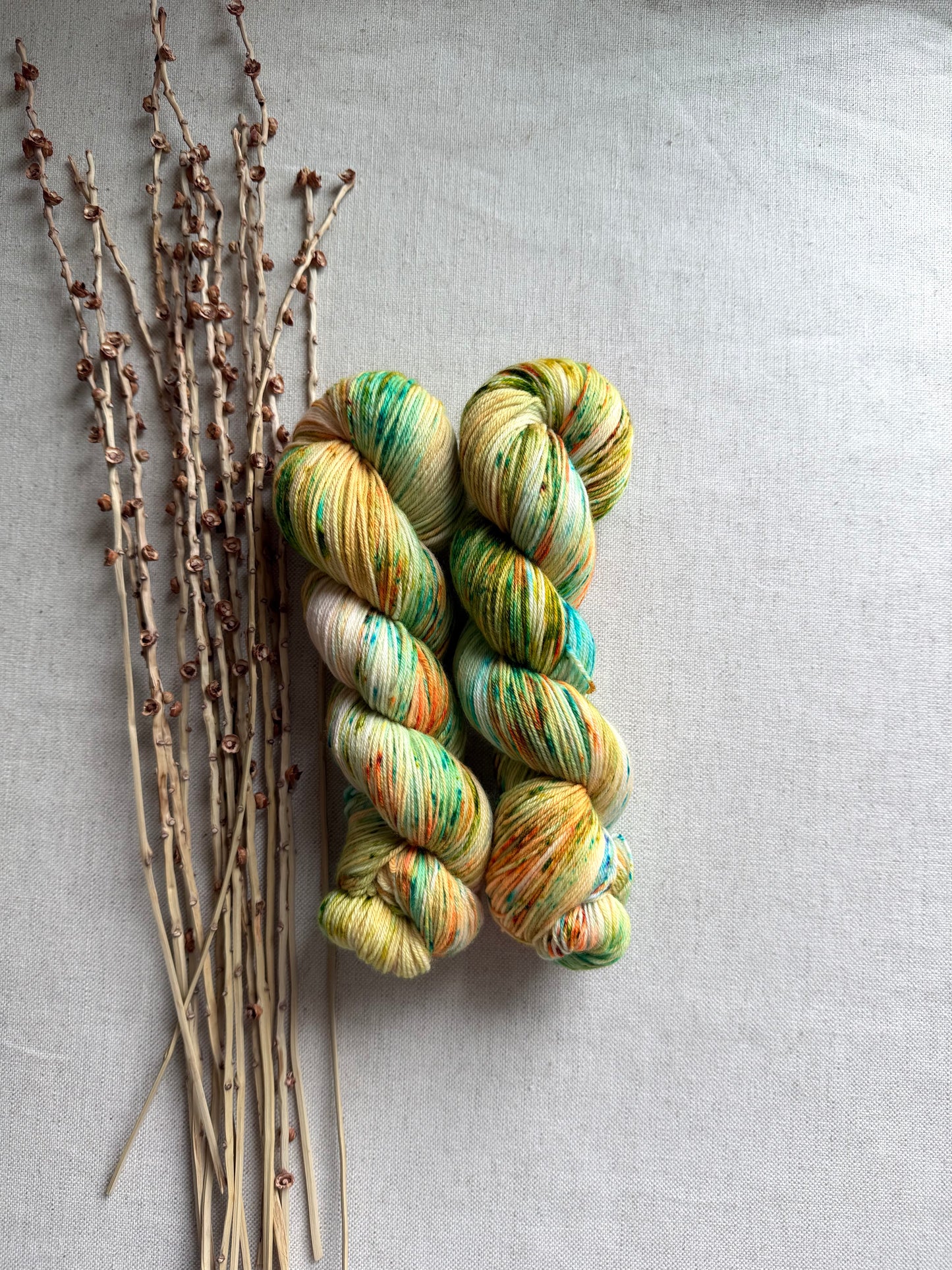 Trout SW Merino Nylon 100g