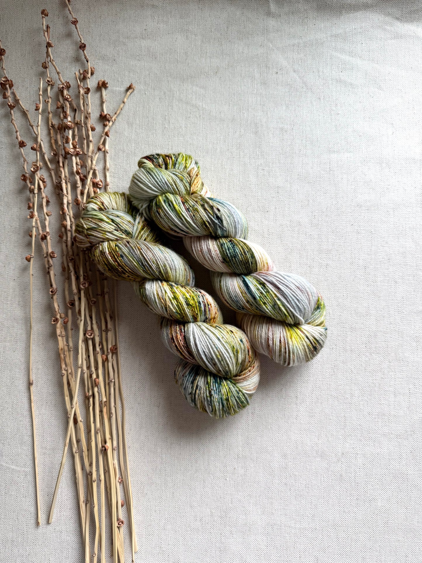 Pinecone SW Merino Nylon 100g