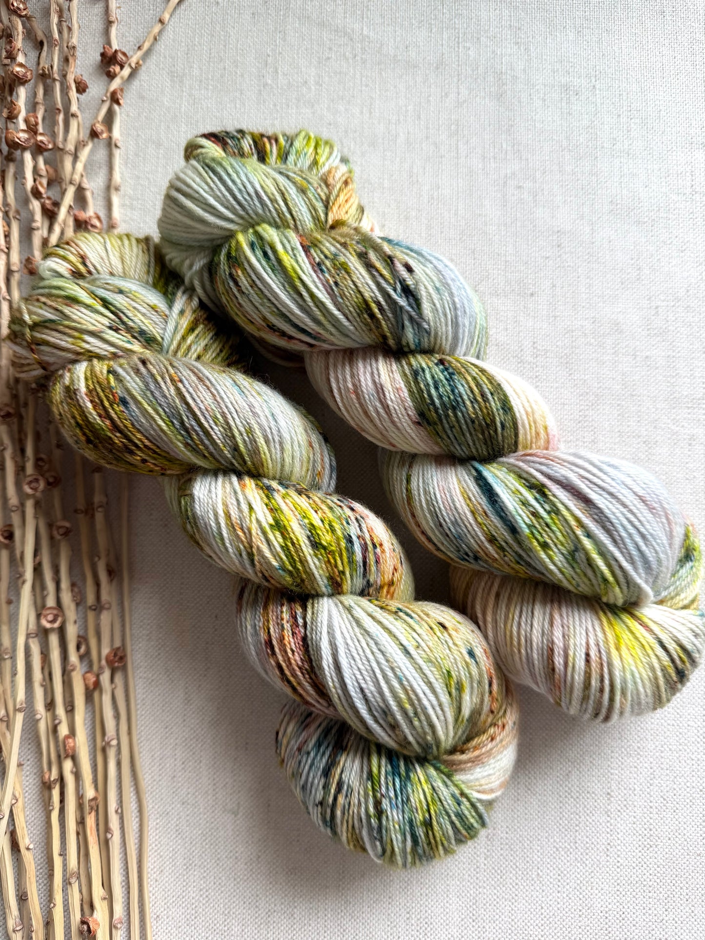 Pinecone SW Merino Nylon 100g