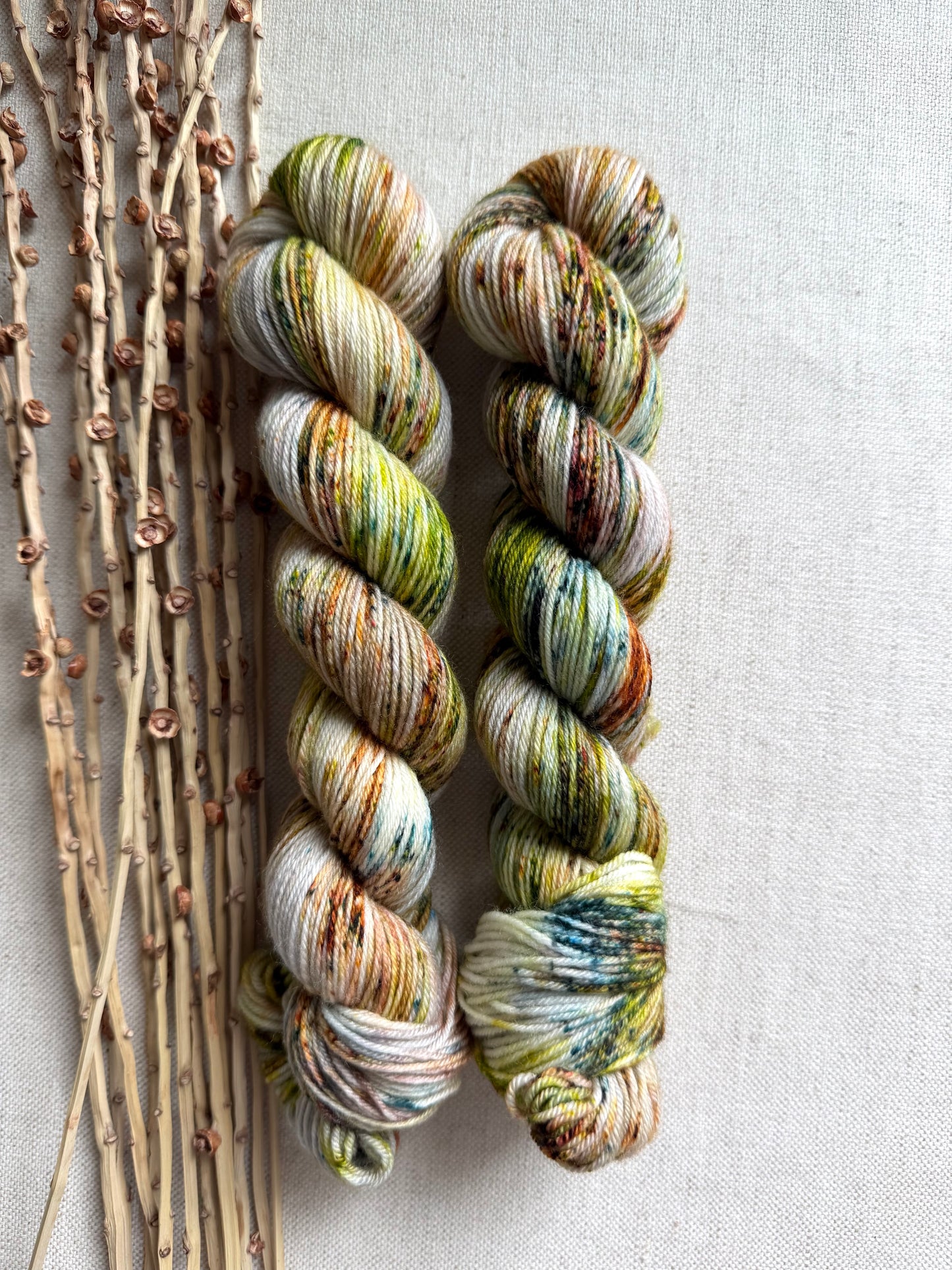 Pinecone SW Merino Nylon 50g